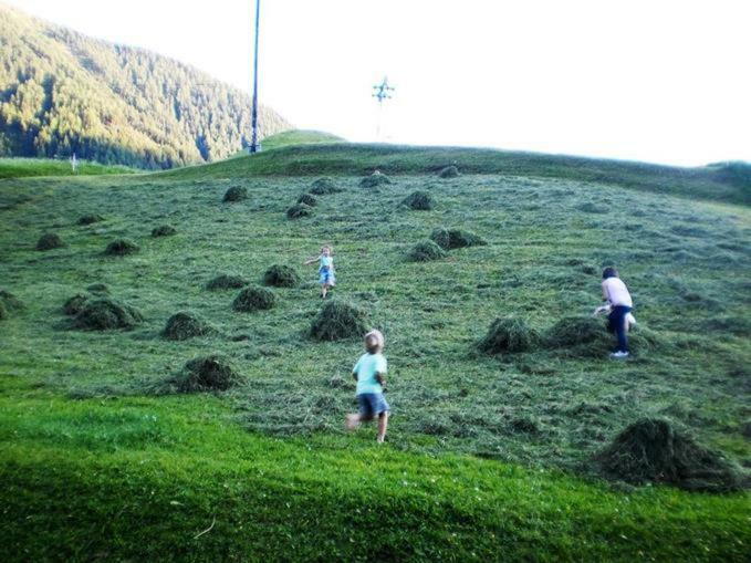 Bio-Berghof Villa นีเดอร์ทาย ภายนอก รูปภาพ