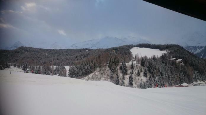 Bio-Berghof Villa นีเดอร์ทาย ภายนอก รูปภาพ